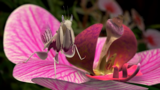 Tutorial: Mantis Series Pt 4 - Internal Materials 
