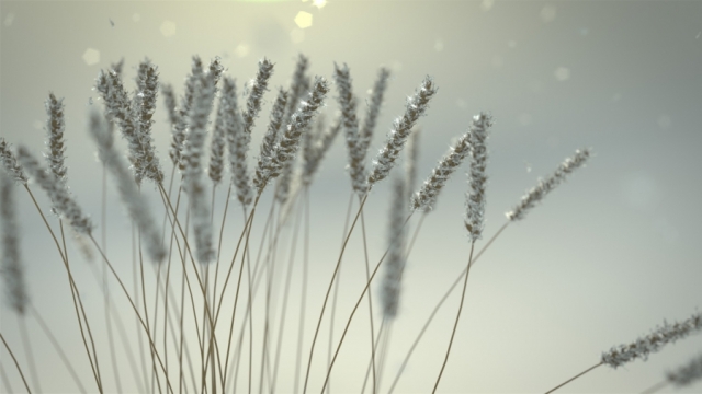 Tutorial: Cycles Winter Special on BlenderDiplom