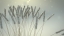 Tutorial: Cycles Winter Special on BlenderDiplom