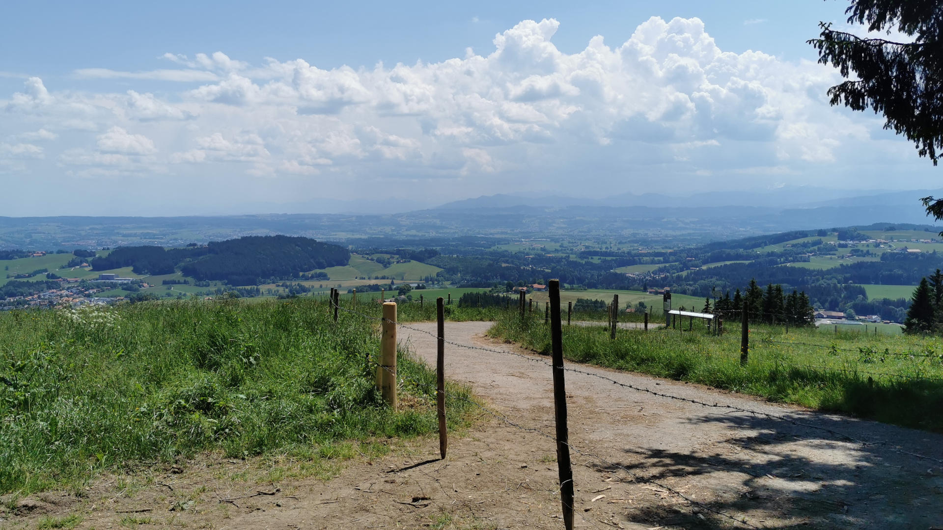 View of the alps from the blender mountain near kempten